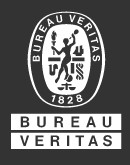 BUREAU VERITAS