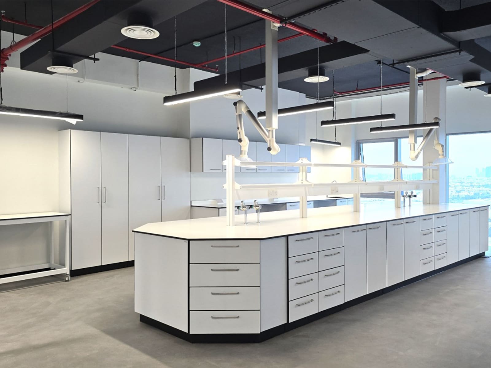 Lab Furnishings