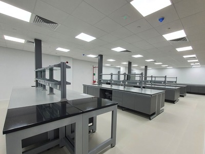 bonlab balance bench